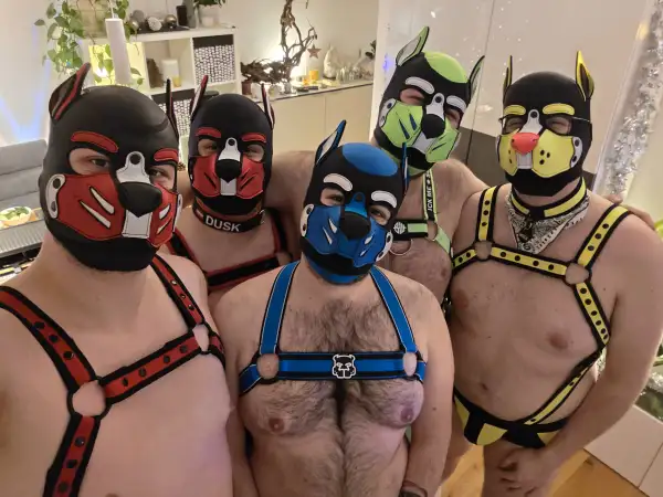 Puppy Silvester 2026