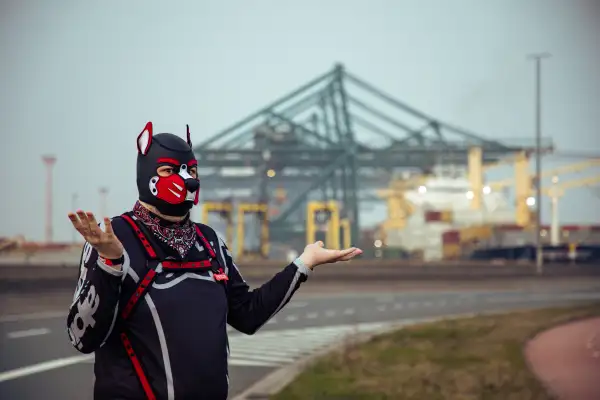 Where are the Cranes?