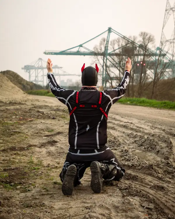 Finally cranes! Part 1