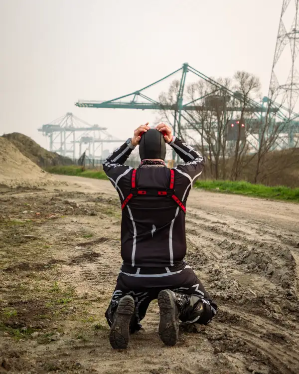 Finally cranes! Part 2